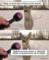 A pokolenie Z - że z lodówki