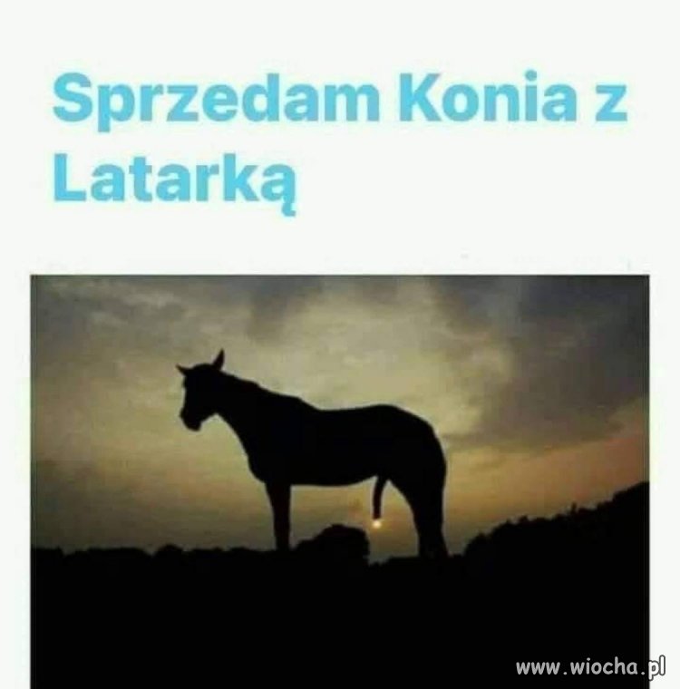 Unikat