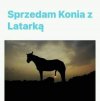 Unikat