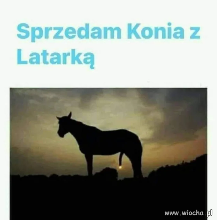 Unikat