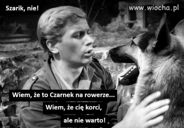 Pogryzie takiego