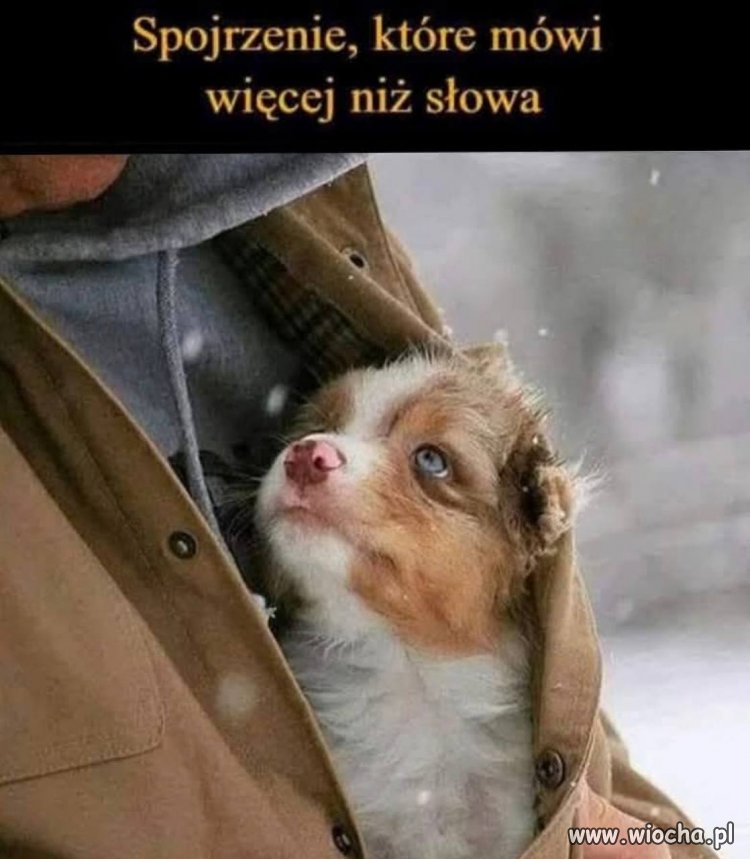 Kiedy znajdziesz człowieka, który grzeje bardziej niż kaloryfer