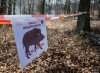 Teren zabezpieczony... wg Straży Miejskiej Gdyni.
