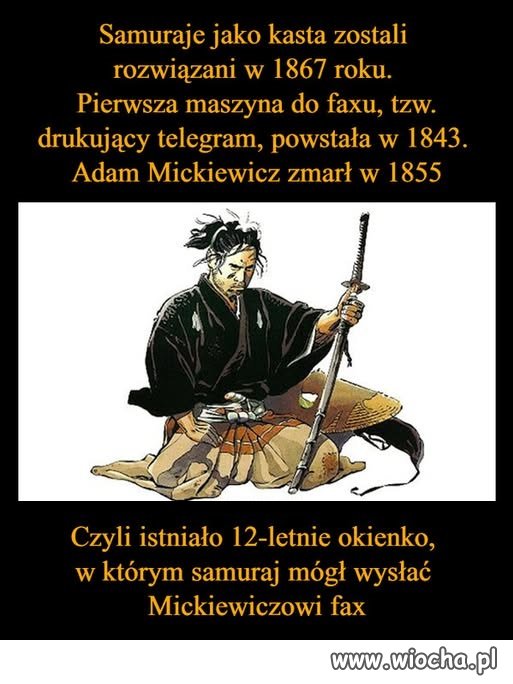 Taka ciekawostka