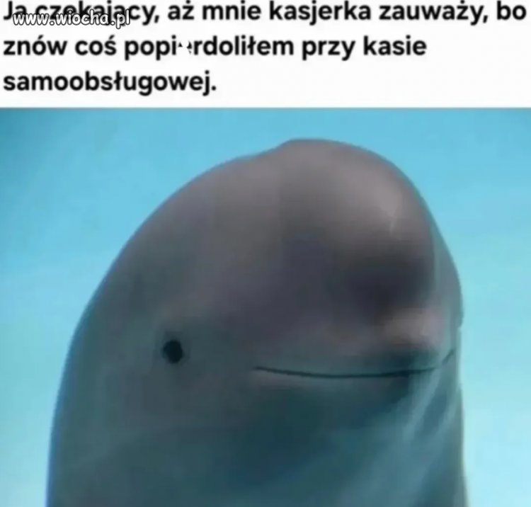 W kasie znajduje się produkt
