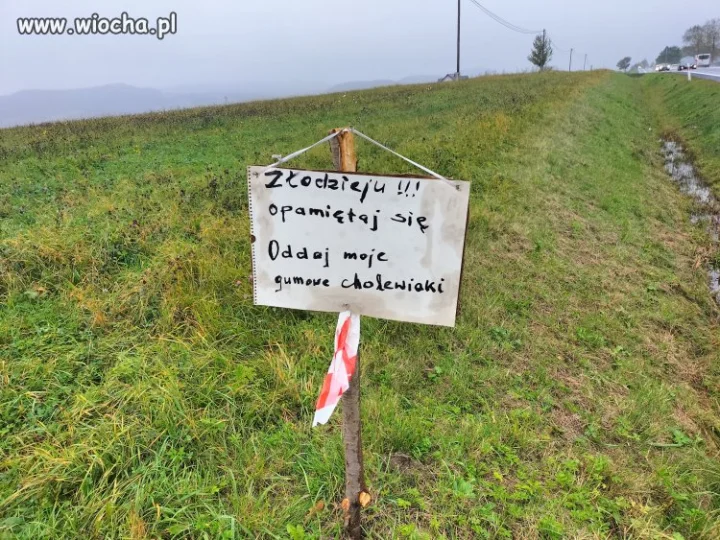 Jakie czasy tacy złodzieje