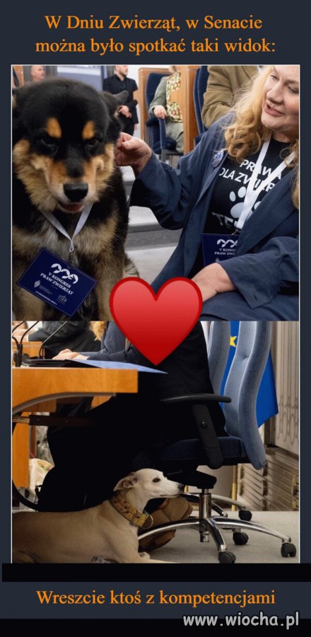 Taka sytuacja