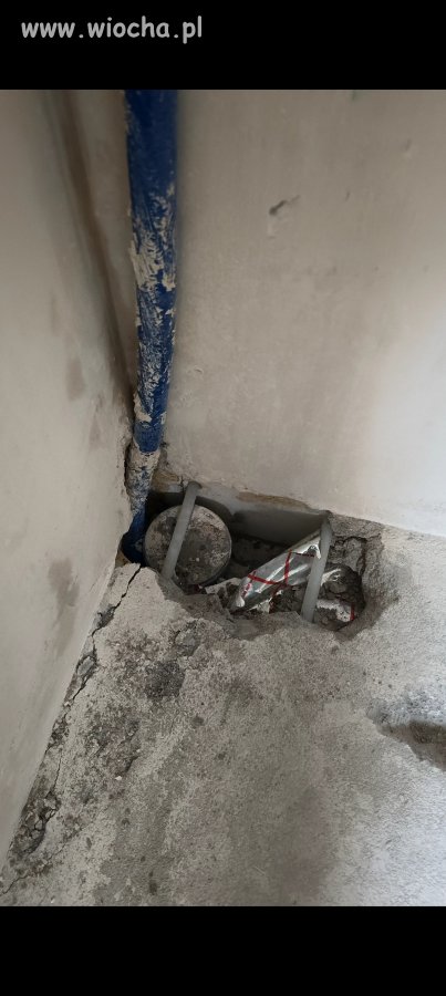 Hydraulik już wiedział...