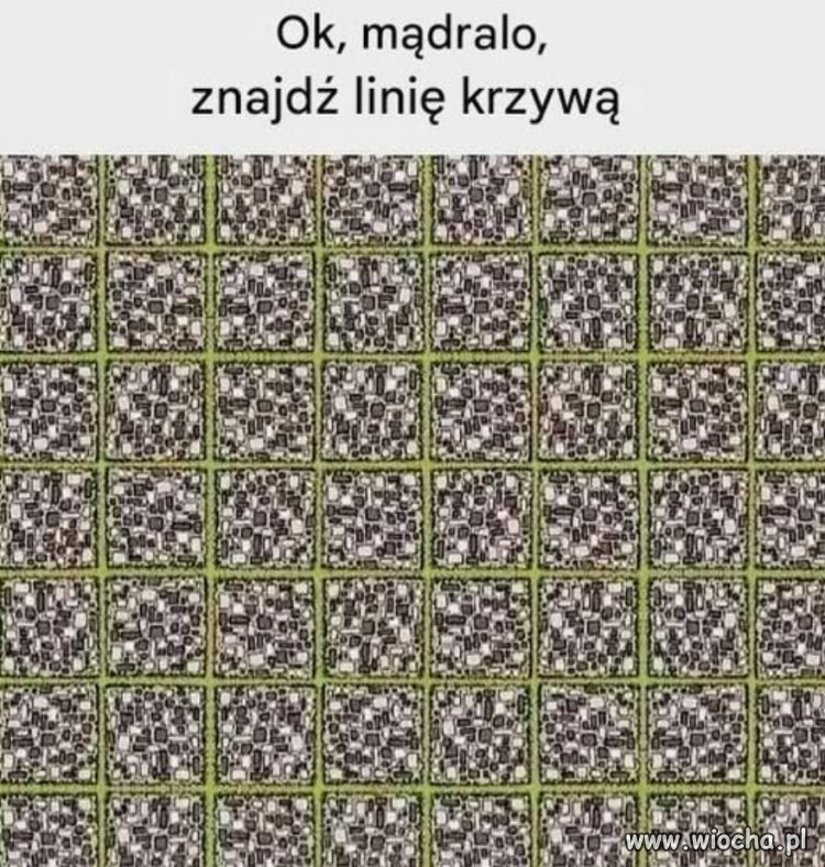 Wyzwanie