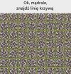 Wyzwanie
