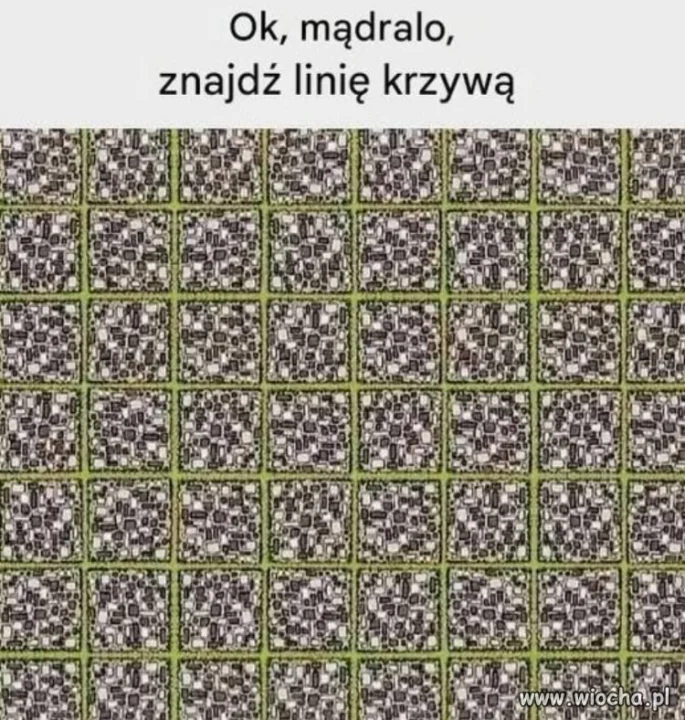 Wyzwanie