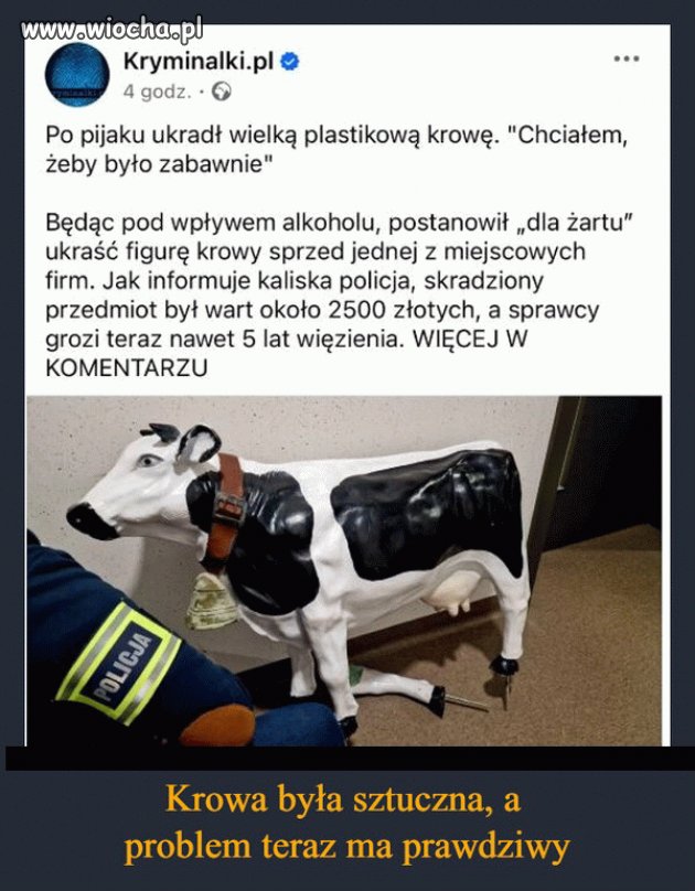Kronika kryminalna