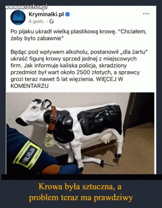 Kronika kryminalna