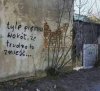 U nas na wsi tyle piękna.