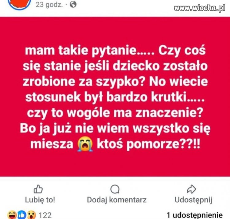 Warzna kfestia. 