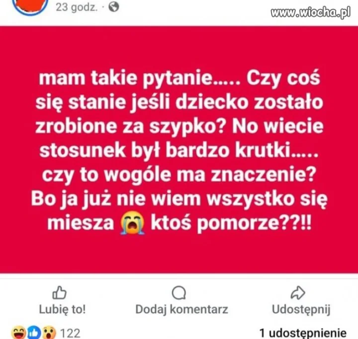Warzna kfestia. 