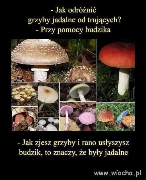 Logika aż poraża...