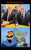 W punkt