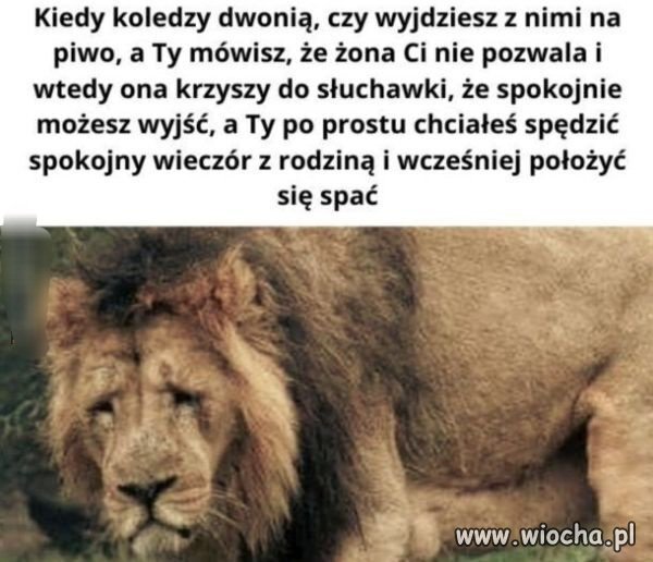 Nie, takie rzeczy się nie zdążają 