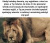 Nie, takie rzeczy się nie zdążają 