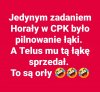 Morawiecki zły