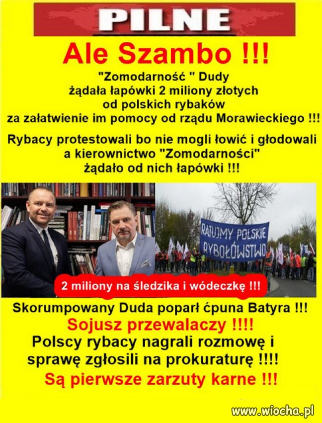 Teraz trzęsą portkami że strachu szumowiny szumowiny pisowskie