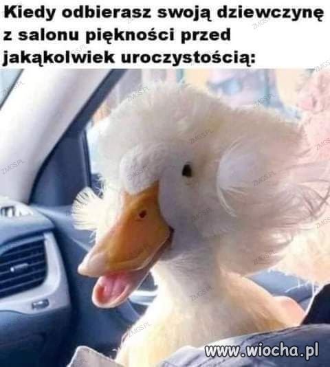 Jakby jej ktoś pióro w dupę wsadził