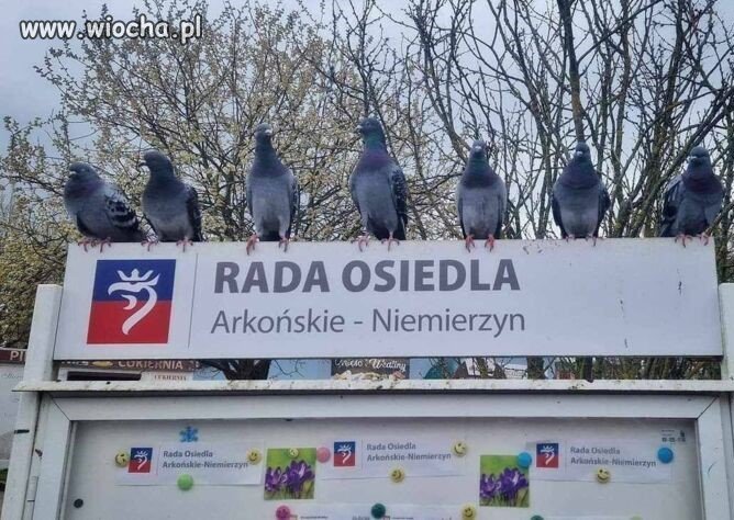 Ukonsytutowała się rada WRON