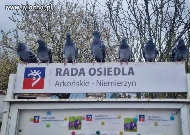 Ukonsytutowała się rada WRON
