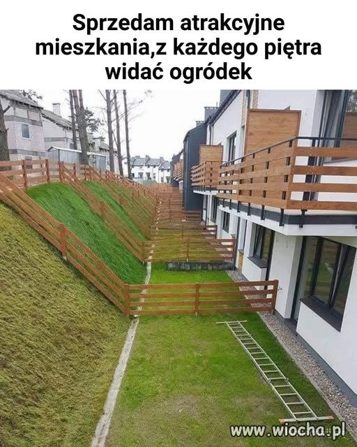 Domek z ogródkiem, Marzenie