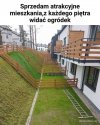 Domek z ogródkiem, Marzenie