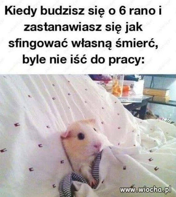 Ktoś coś?