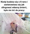 Ktoś coś?