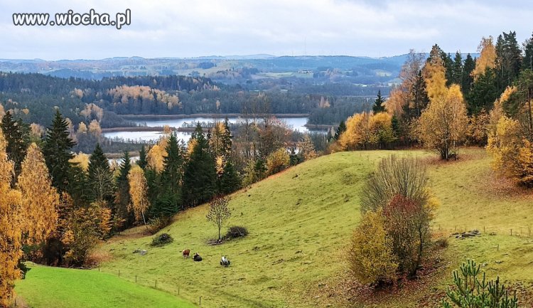 Odpuść Bieszczady, jedź na Suwalszczyznę.