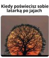 Przyznać się kto próbował?