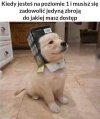 Kiedy dopiero zaczynasz 