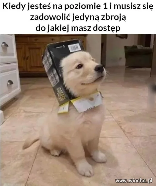 Kiedy dopiero zaczynasz 