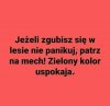 Rada na grzybobranie