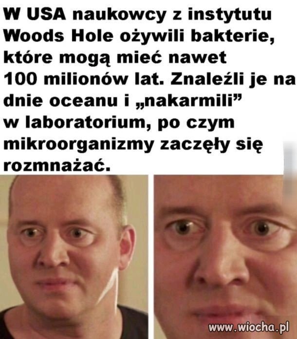 Ja rozumiem, że nauka...