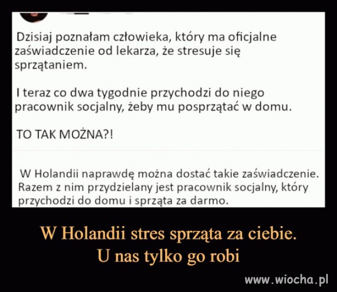 Tymczasem w Holandii