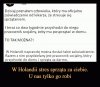 Tymczasem w Holandii