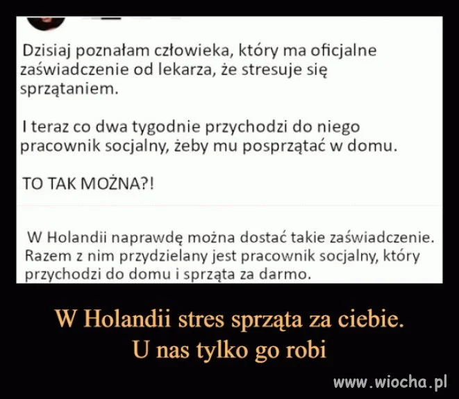 Tymczasem w Holandii
