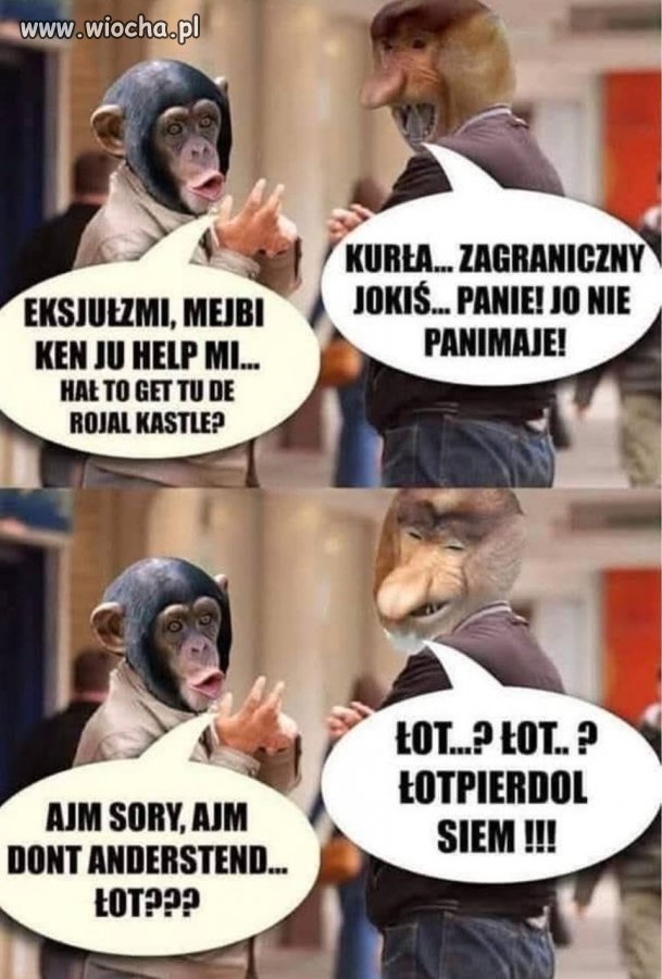 Lekcja angielskiego z życia