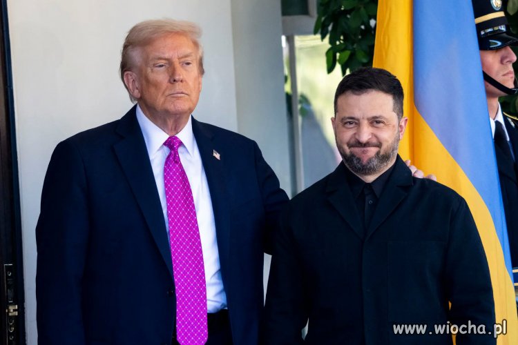 Mina komika mówi wszystko
