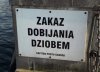 Trochę dwuznaczne