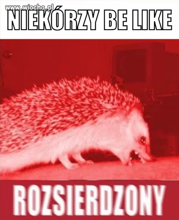 ROZSIERDZONY