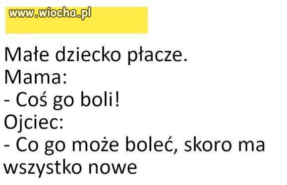 No i jak? No i co? 