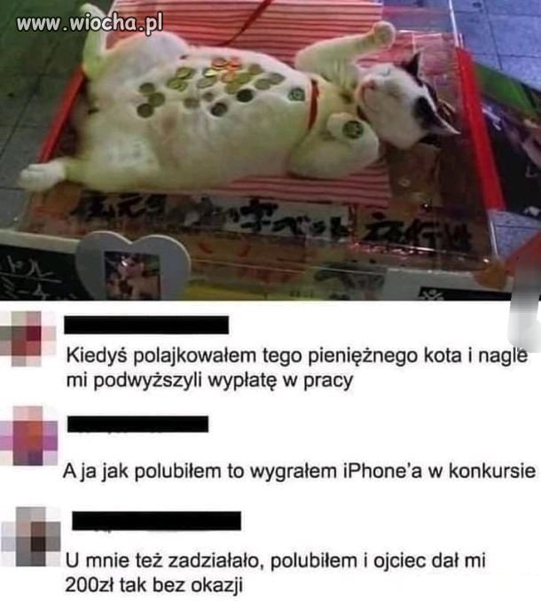 I sam nie wiem 