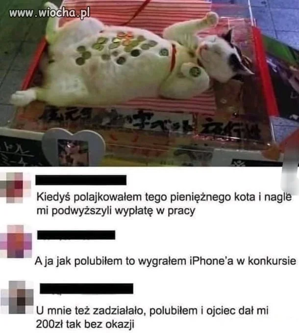I sam nie wiem 