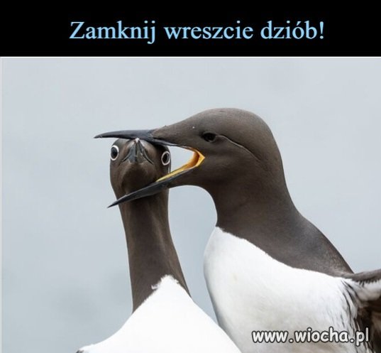 Chłop nie wytrzymał 